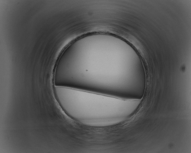 X0000097840799200803140833