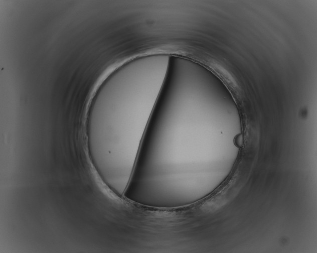 X0000097840800200803140833