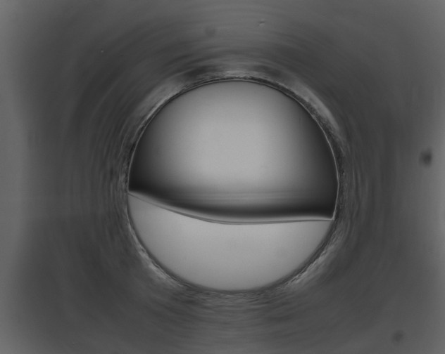 X0000097840801200803140833