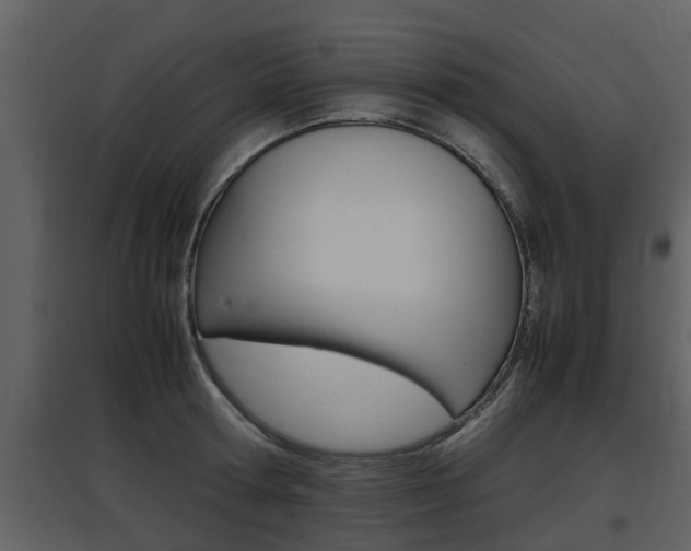 X0000097840802200803140833