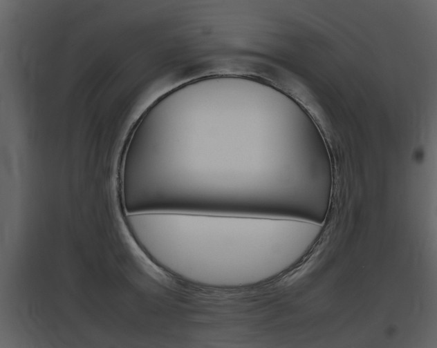 X0000097840803200803140833
