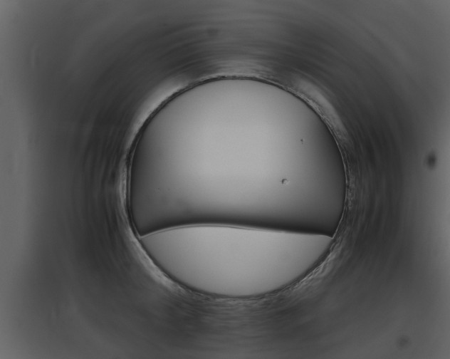 X0000097840804200803140833