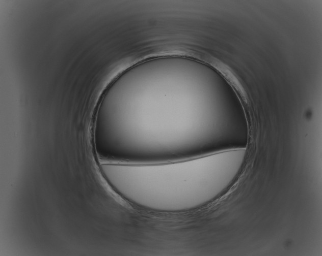 X0000097840805200803140833