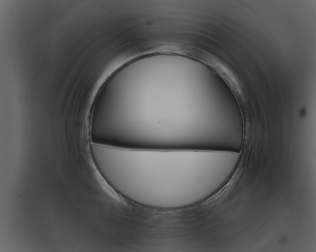 X0000097840808200803140833