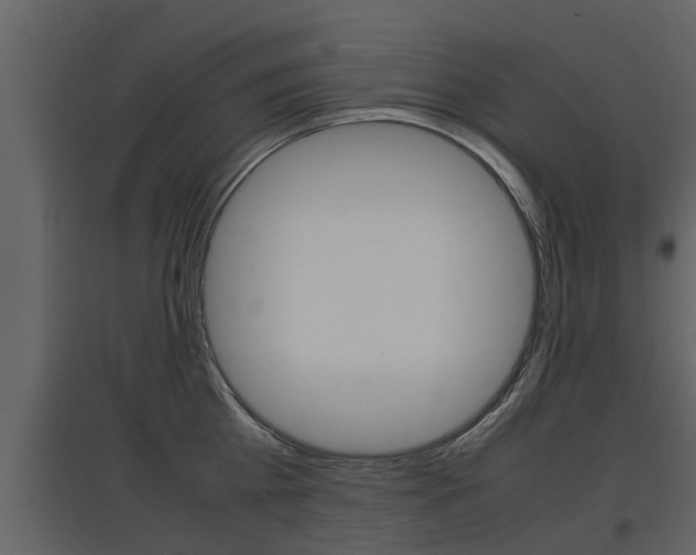 X0000097840809200803140833