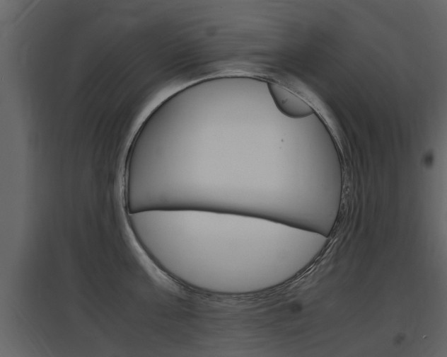 X0000097840811200803140833