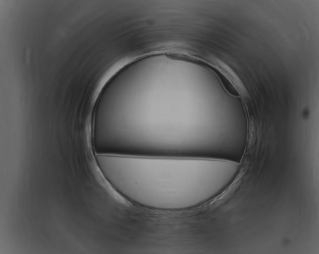 X0000097840812200803140833