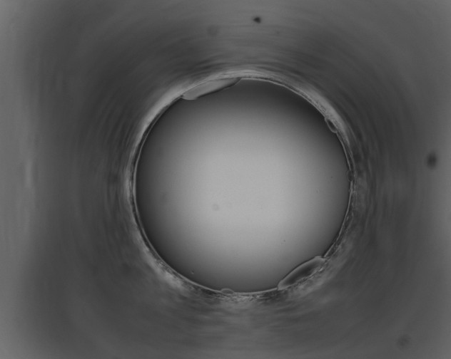 X0000097840813200803140833