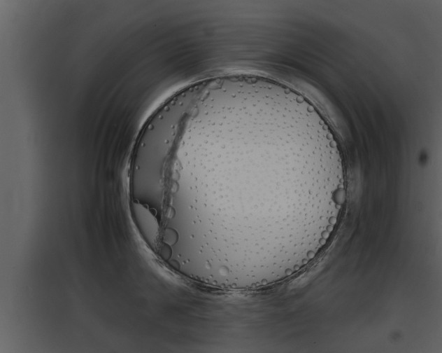 X0000097840814200803140833