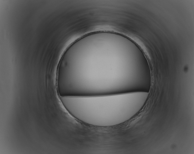 X0000097840815200803140833