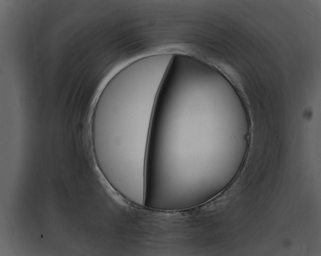 X0000097840816200803140833