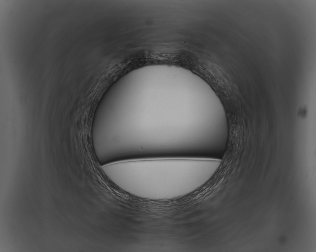 X0000097840817200803140832