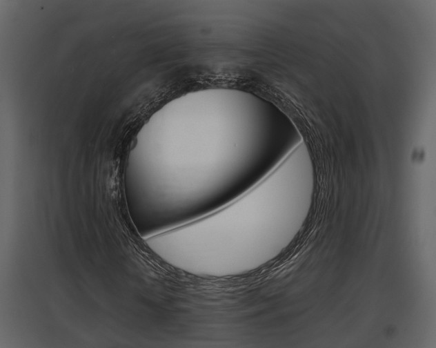 X0000097840818200803140832