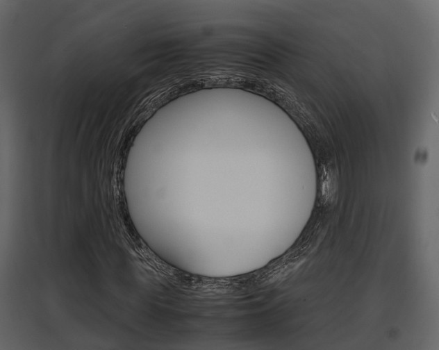 X0000097840819200803140832