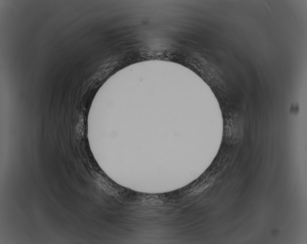 X0000097840820200803140832
