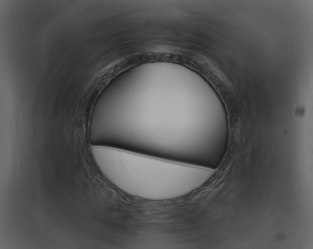 X0000097840821200803140832