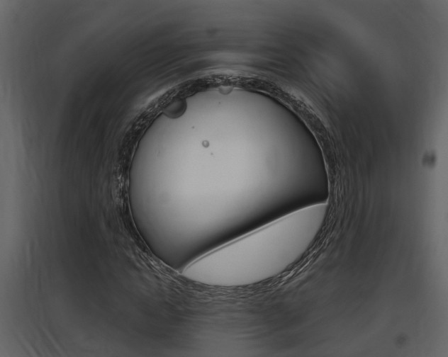 X0000097840822200803140832