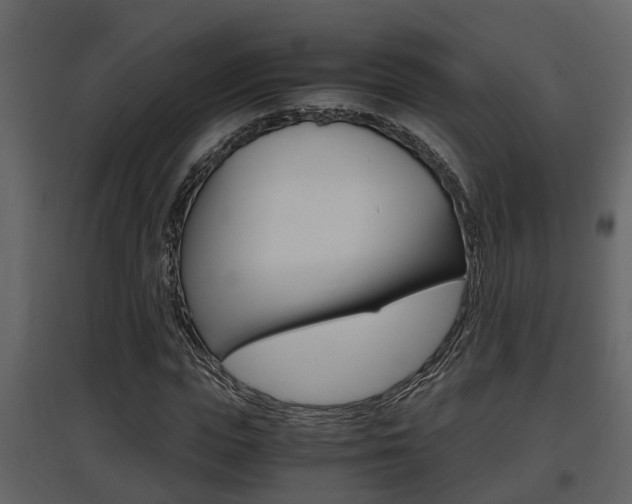 X0000097840823200803140832