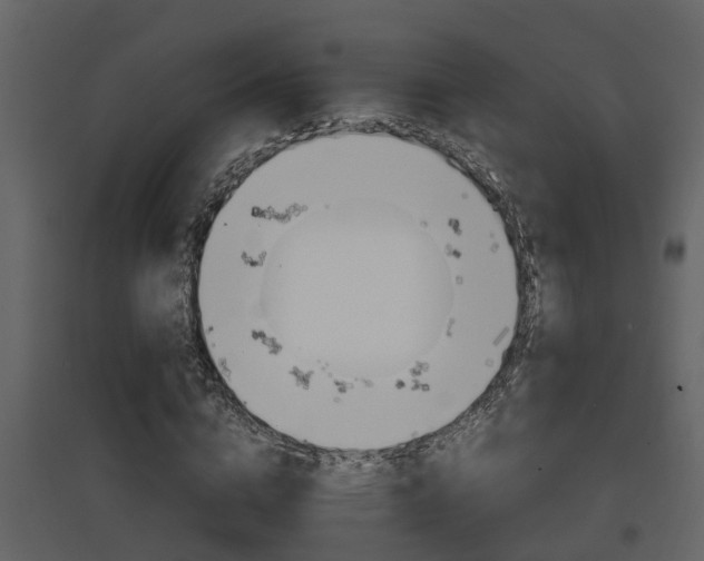 X0000097840824200803140832