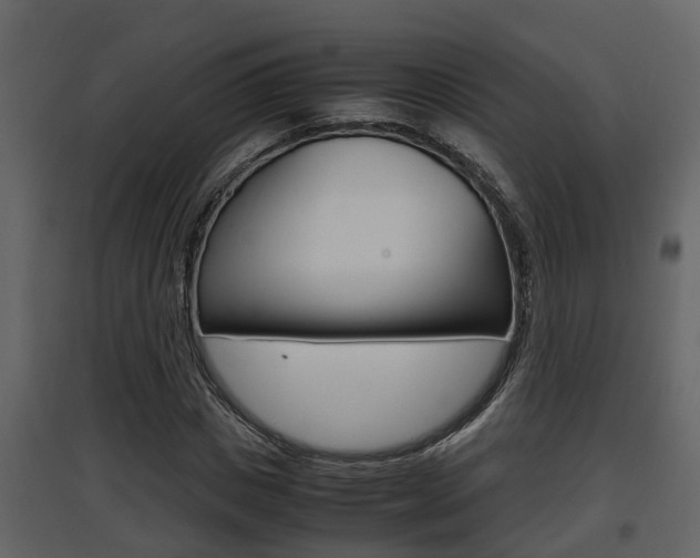 X0000097840825200803140832