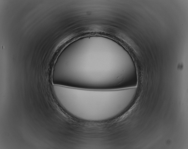 X0000097840826200803140832