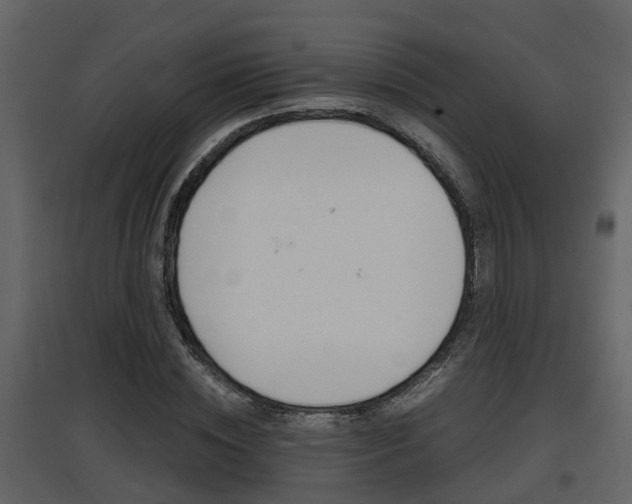 X0000097840828200803140833