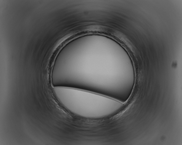 X0000097840829200803140833