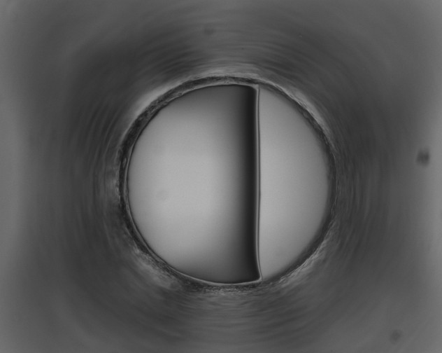 X0000097840830200803140833