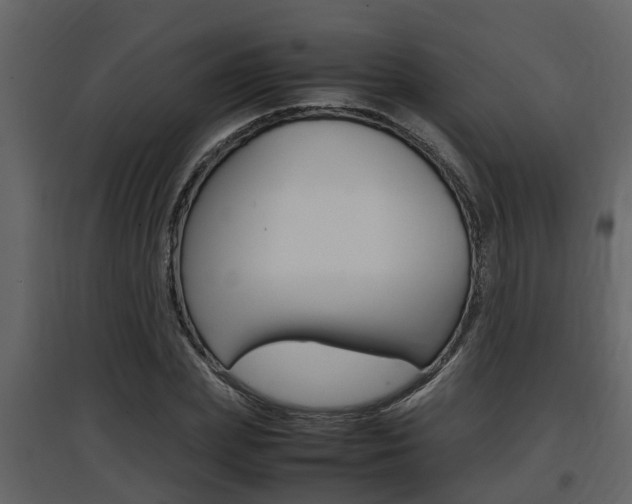 X0000097840831200803140833