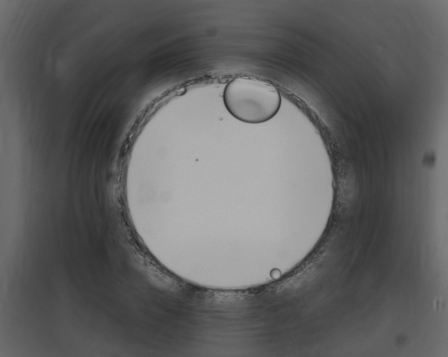 X0000097840832200803140833