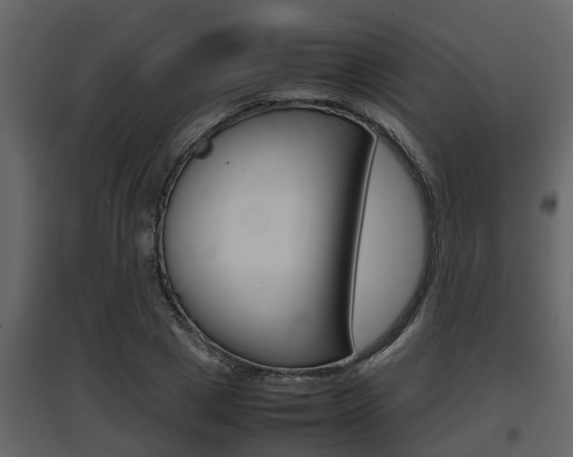 X0000097840833200803140833