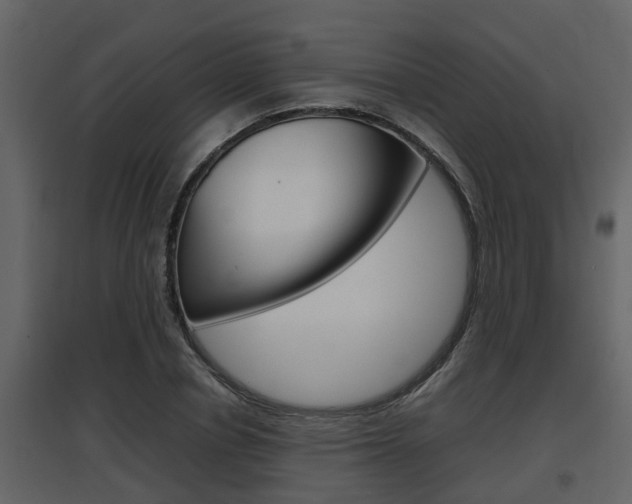 X0000097840834200803140833