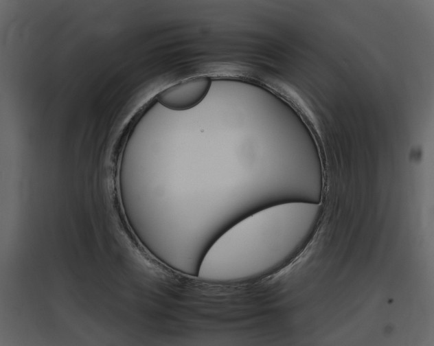X0000097840835200803140833