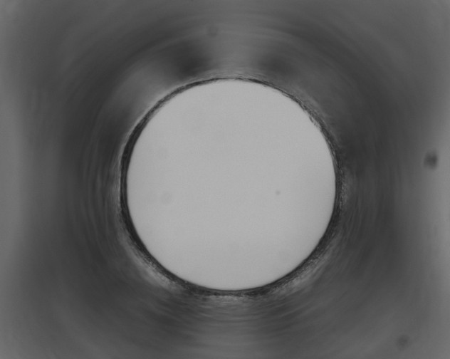 X0000097840836200803140833