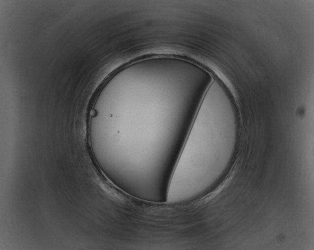 X0000097840837200803140833