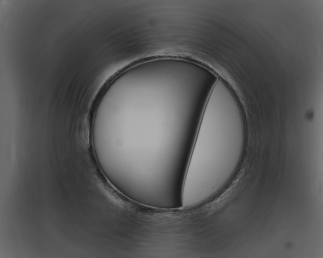 X0000097840838200803140833