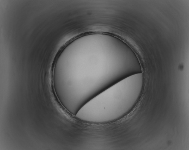 X0000097840840200803140833