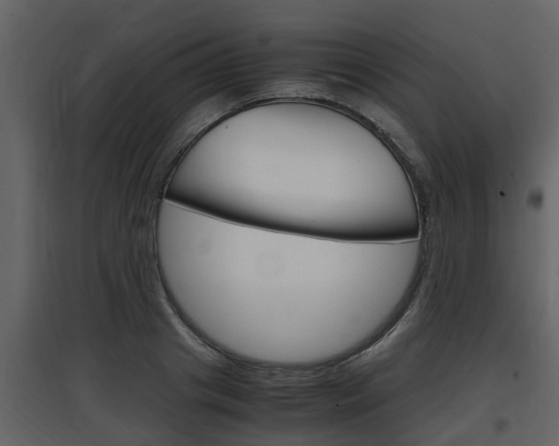 X0000097840841200803140833