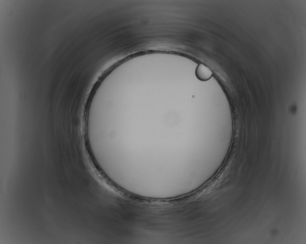 X0000097840848200803140833