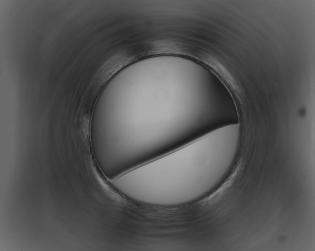X0000097840849200803140833