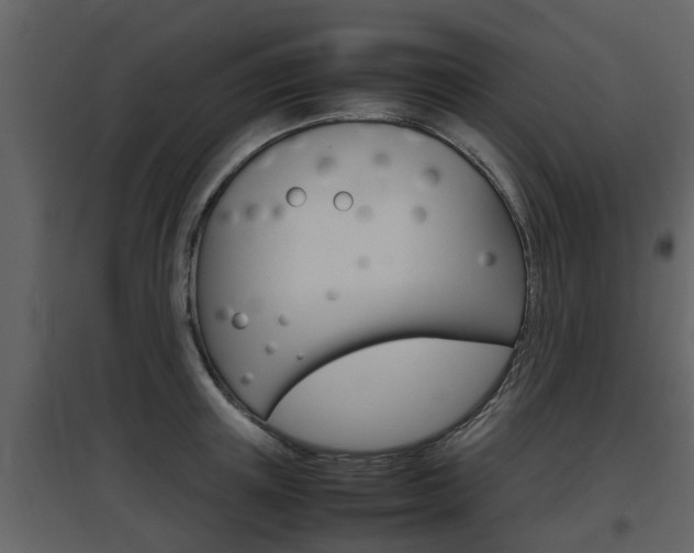X0000097840851200803140833