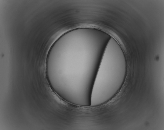 X0000097840852200803140833