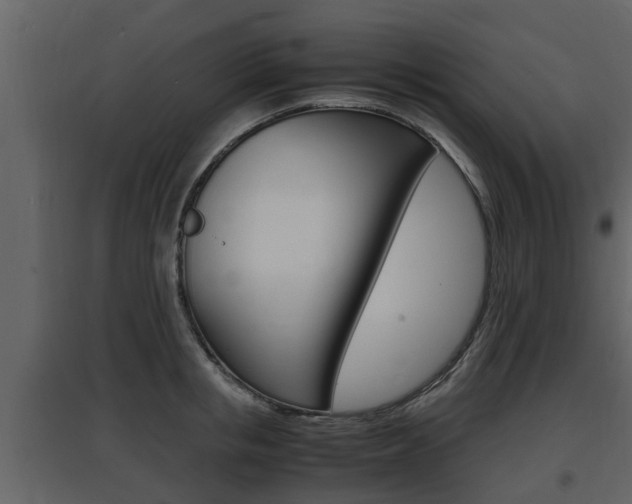 X0000097840853200803140833