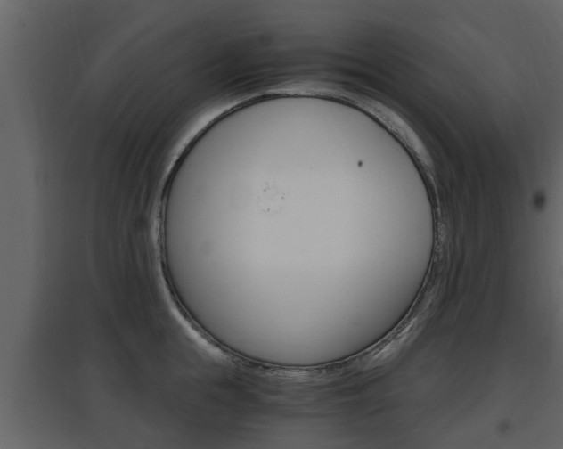 X0000097840855200803140833