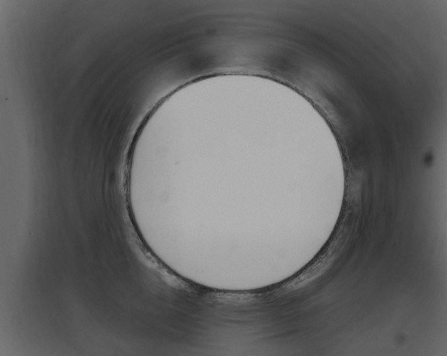 X0000097840856200803140833
