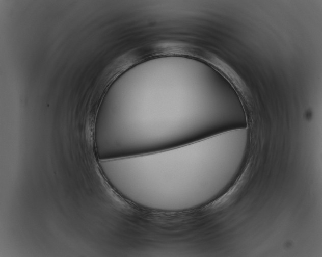 X0000097840857200803140833