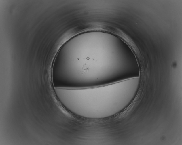 X0000097840858200803140833