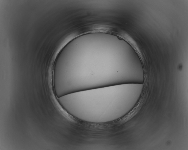 X0000097840859200803140833