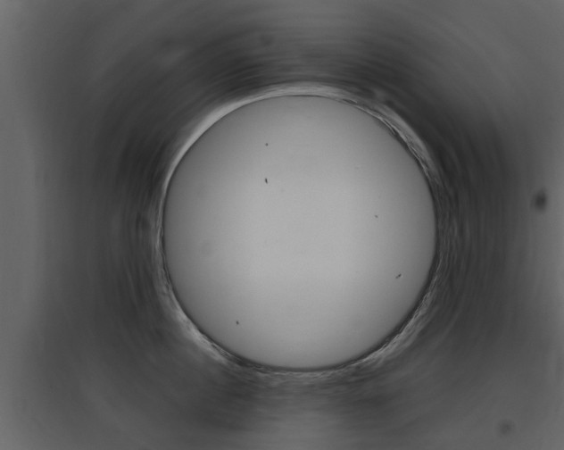 X0000097840860200803140833