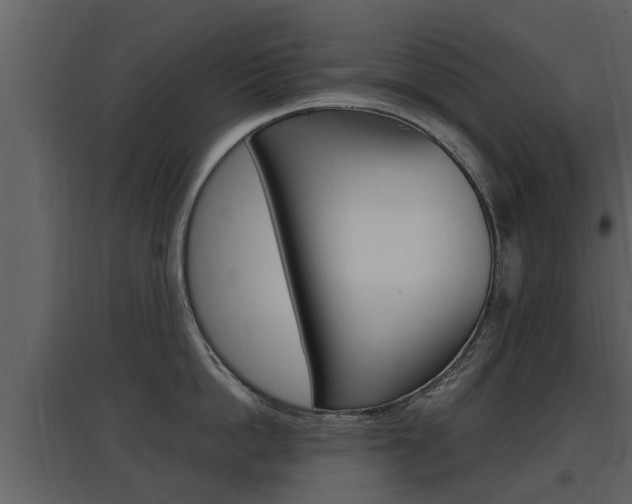 X0000097840862200803140833